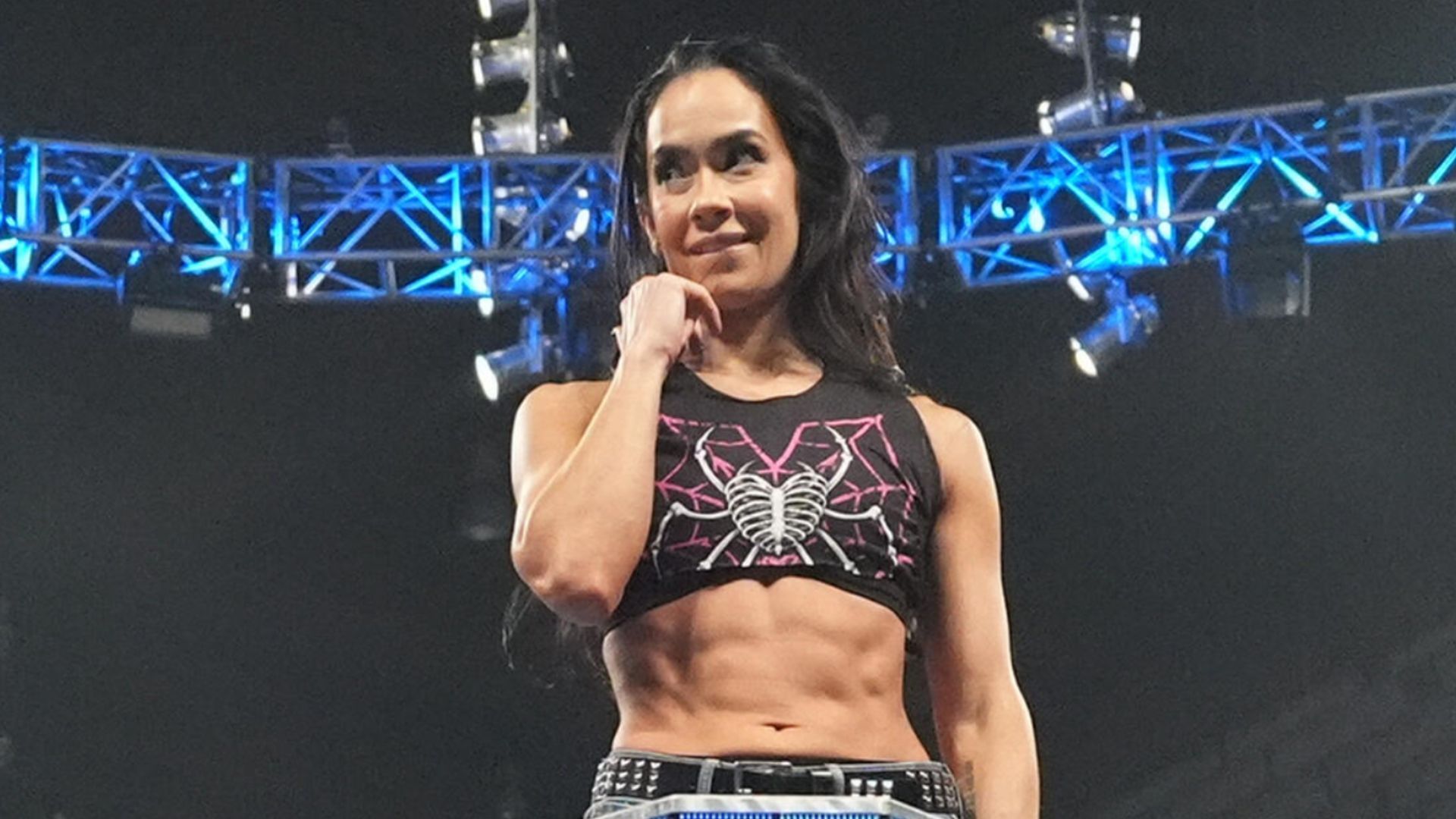 Former WWE Divas Champion AJ Lee [Image Credits: WWE