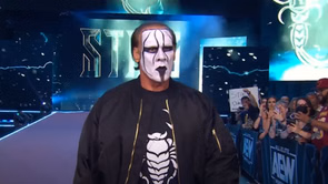 3-time AEW champion cannot replace Sting, says WWE veteran