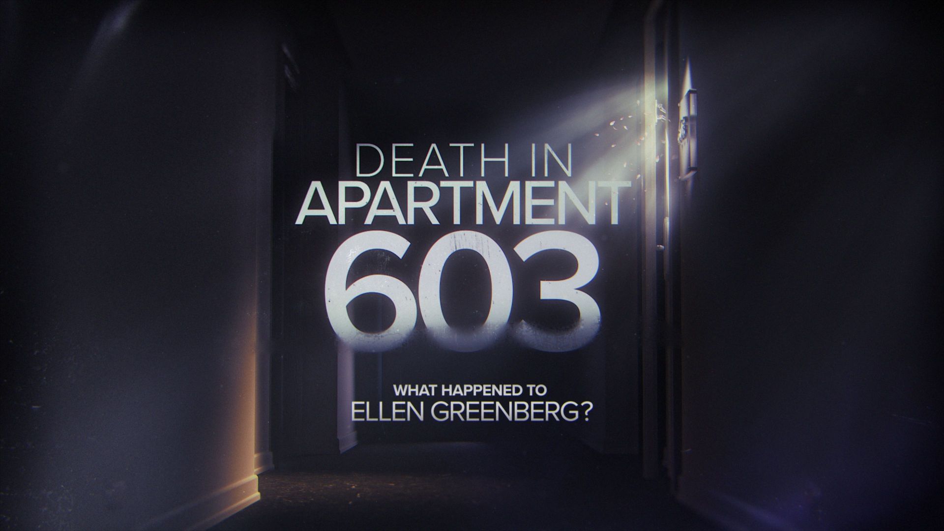 Hulu&rsquo;s docuseries Death in Apartment 603: What Happened to Ellen Greenberg? (Image via IMDB)