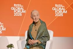 What was Jane Goodall's cause of death? Exploring health issues as Perez Hilton raves about anthropologist's "incredible dedication" to work