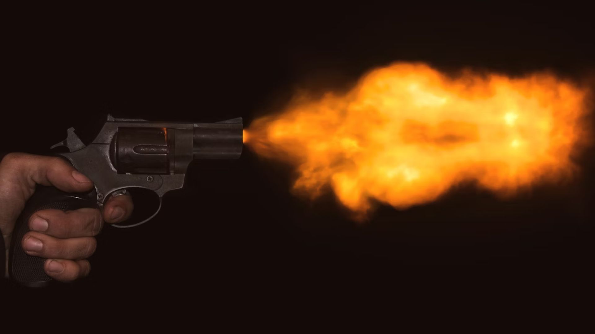 Susan shot Ajike in the chest (Image via Unsplash/ @ Tsvetoslav Hristov/ The Perfect Neighbor)