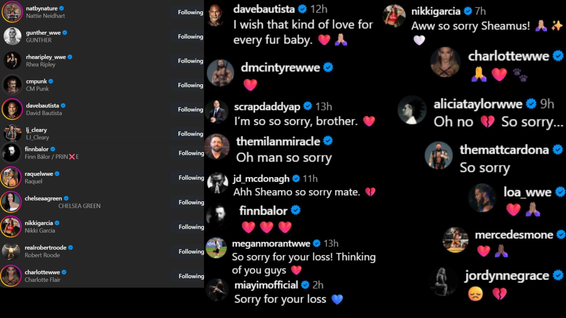 Screenshots of stars&#039; likes and comments [Image credit: Sheamus&#039; Instagram]