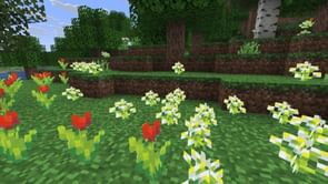 A Minecraft fan has set out to hand paint every block and add them to the game