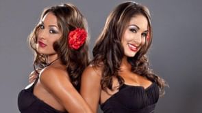 "Back at it again" - WWE legend Brie Bella drops huge tease; set for Nikki Bella "reunion"