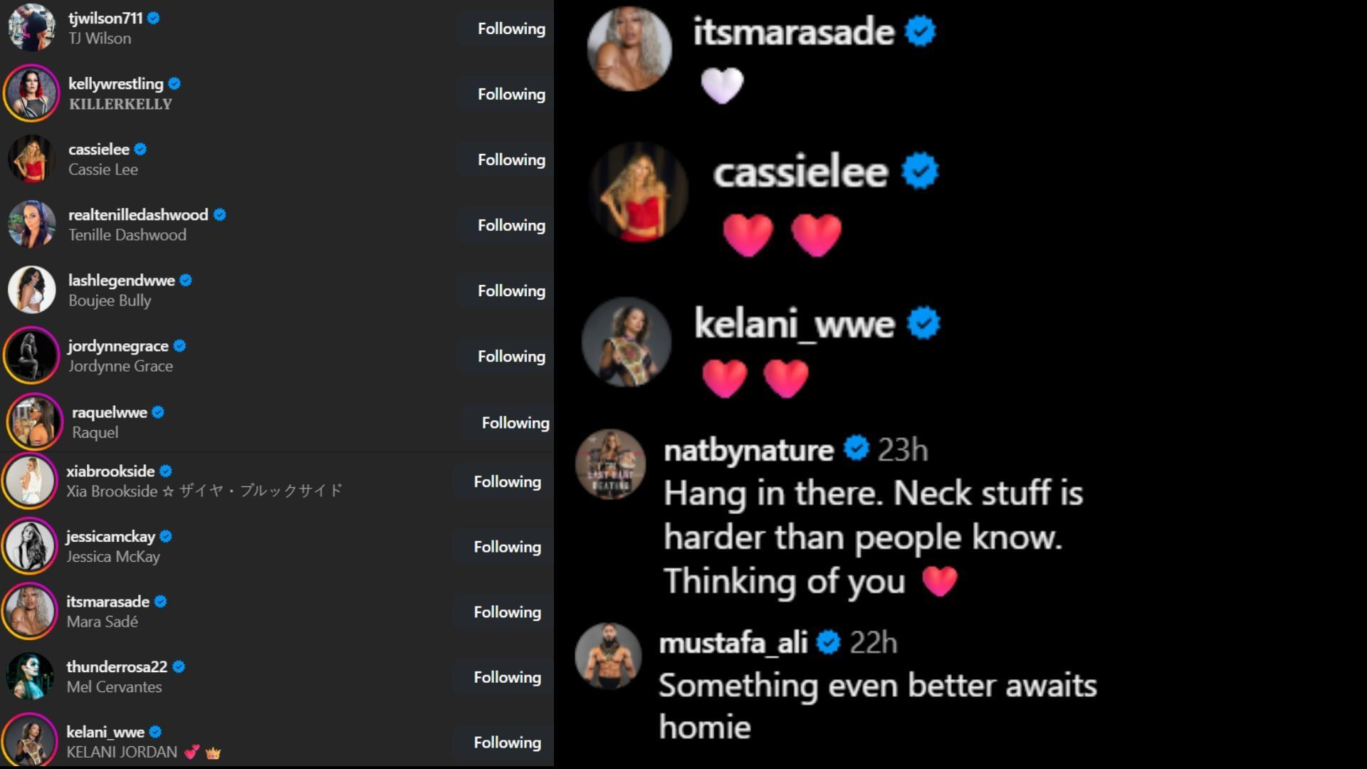 Screenshots of stars&#039; likes and comments [Image credit: Steph De Lander&#039;s Instagram]
