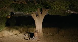 It Was Just an Accident: Full list of cast and characters explored