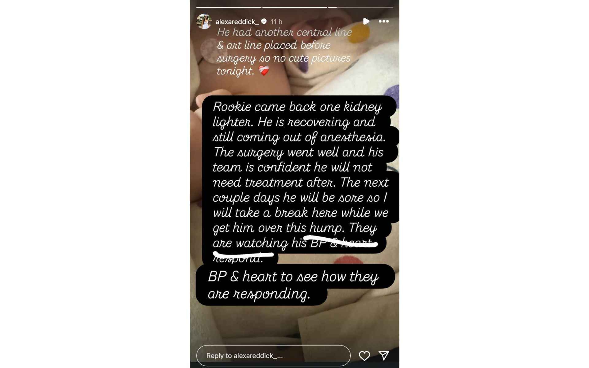 Alexa Reddick&#039;s Instagram story on son Rookie&#039;s health after the surgery | Source: Instagram/@alexareddick_