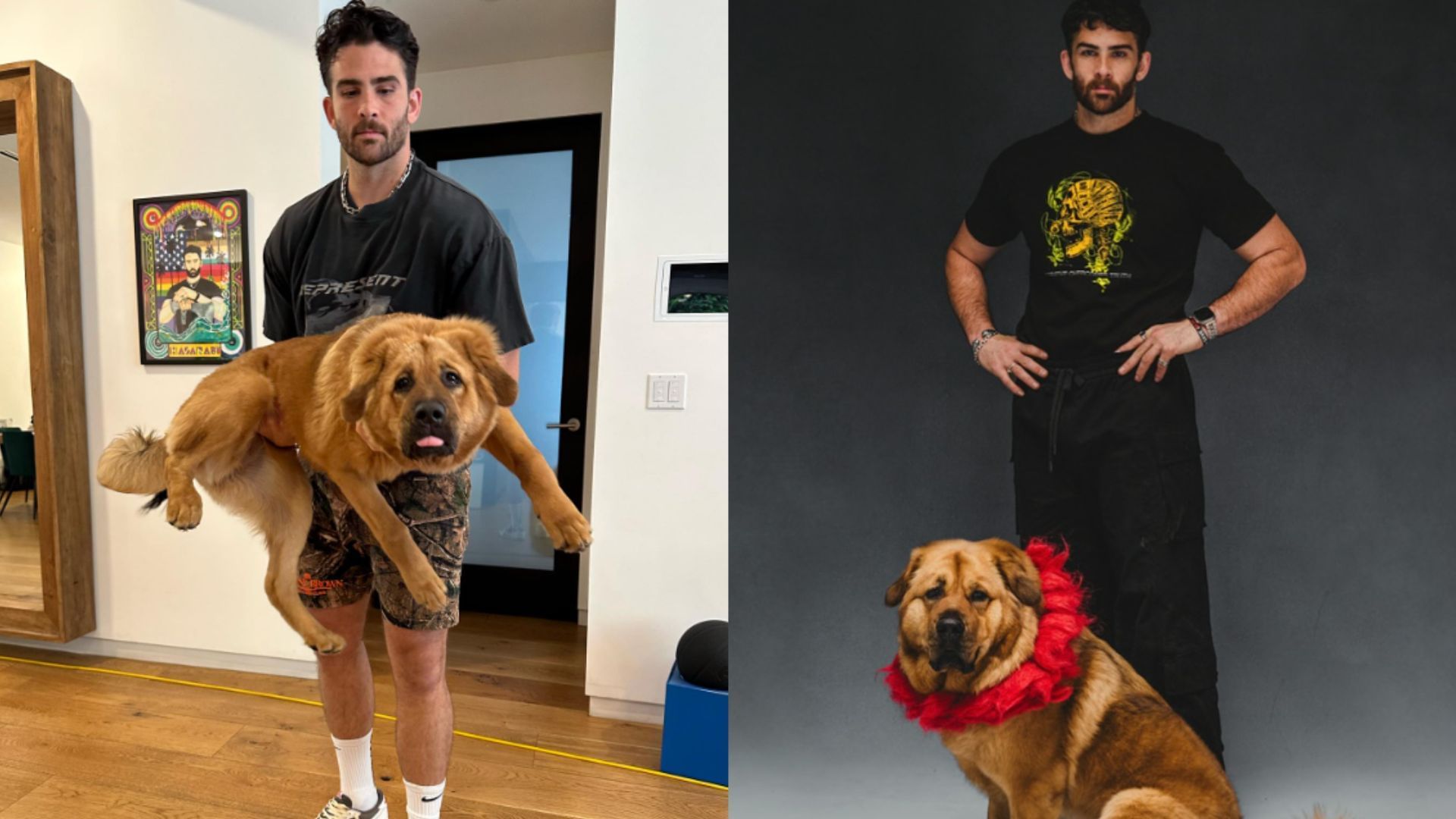 The controversy surrounding HasanAbi and his dog, Kaya, continues to develop (Images via @hasandpiker/Instagram)