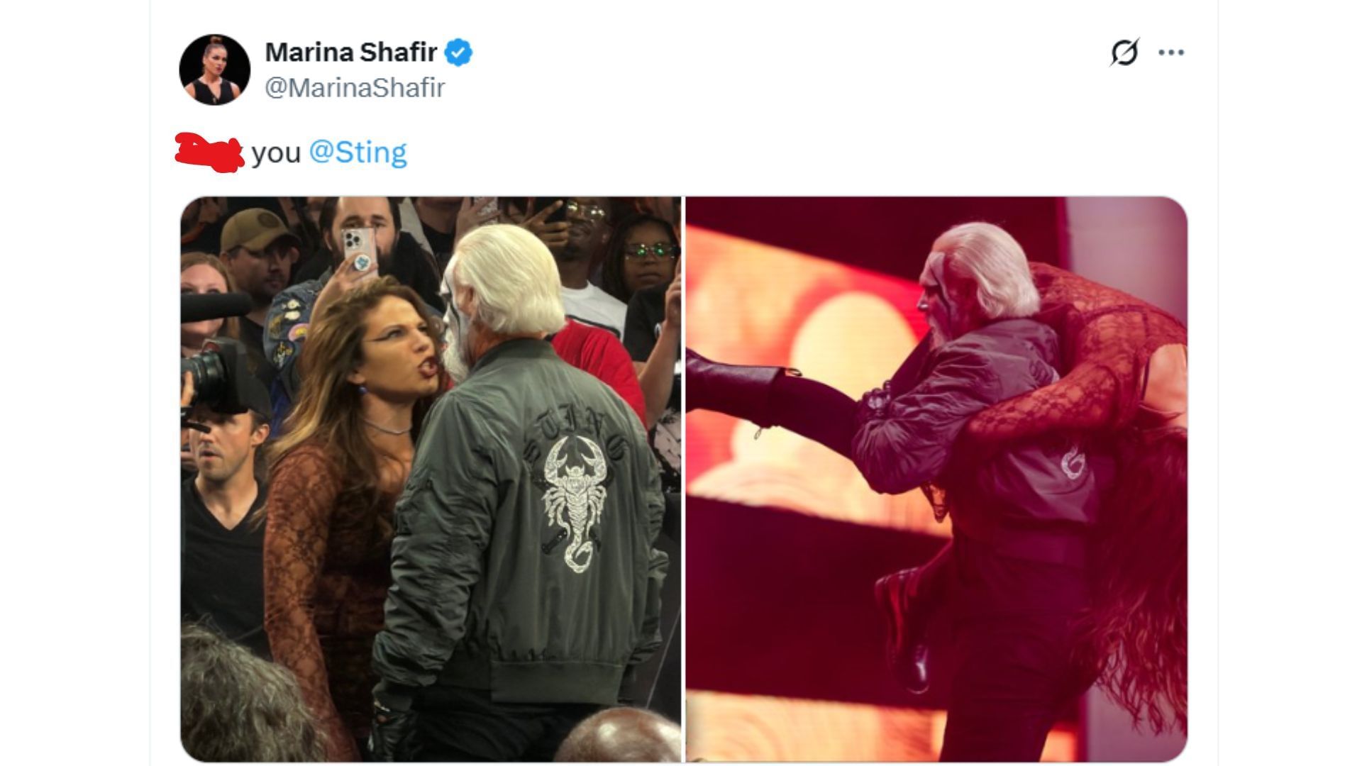 Screenshot of Marina Shafir&#039;s explicit message to Sting [Image Credits: Shafir&#039;s X profile]
