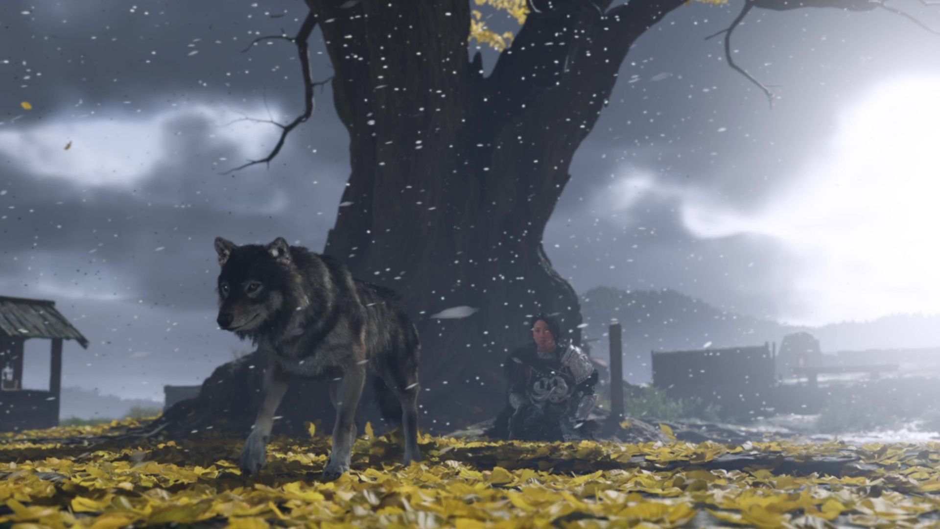 The wolf and Atsu parting ways at the end (Image via Sucker Punch || Sportskeeda)