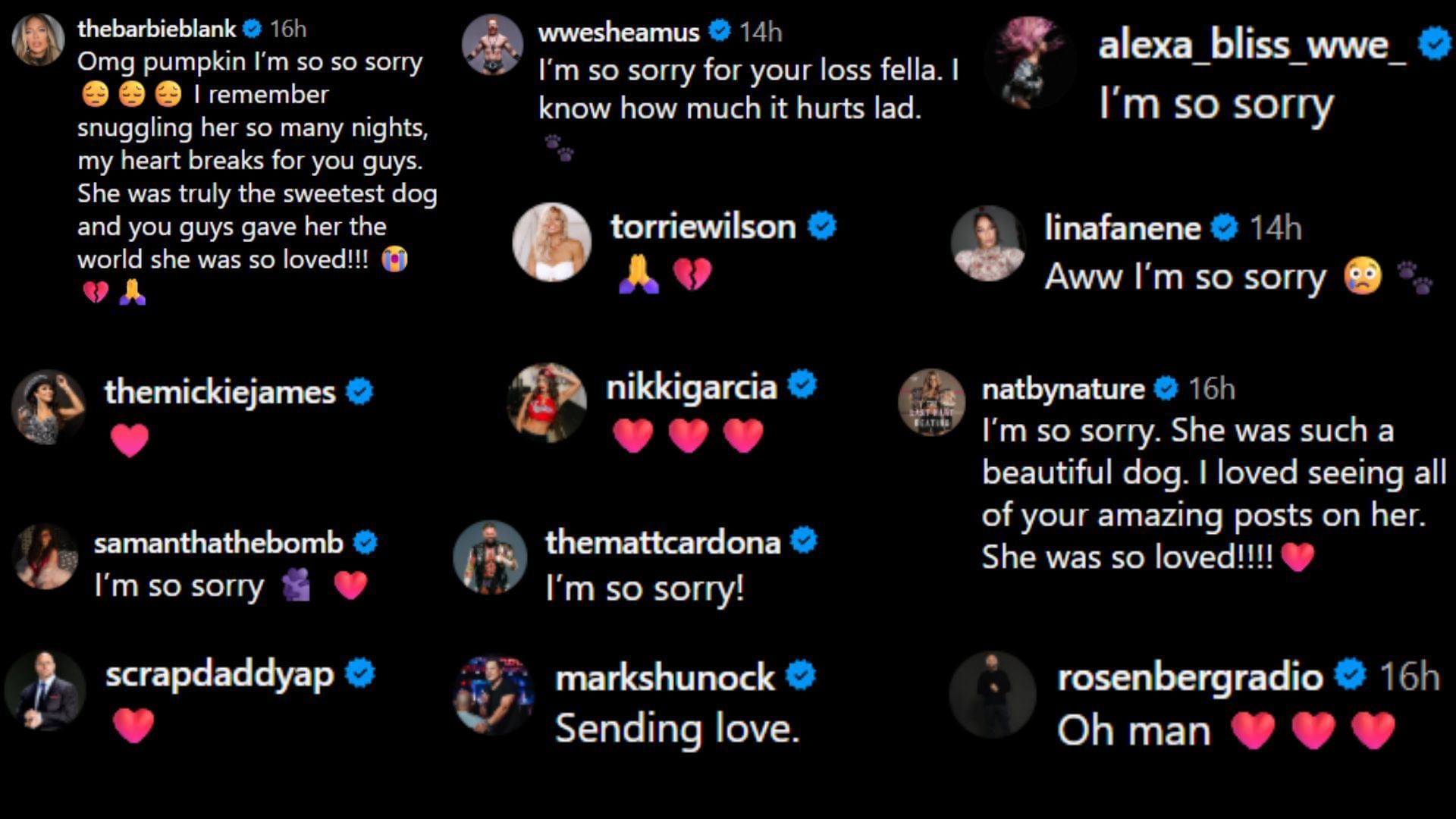 Screenshots of stars&#039; reactions [Image credit: The Miz&#039;s Instagram]