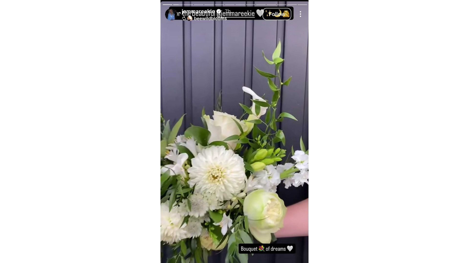 Screenshot of Reekie&#039;s Instagram story (Image via: @jemmareekie on IG)