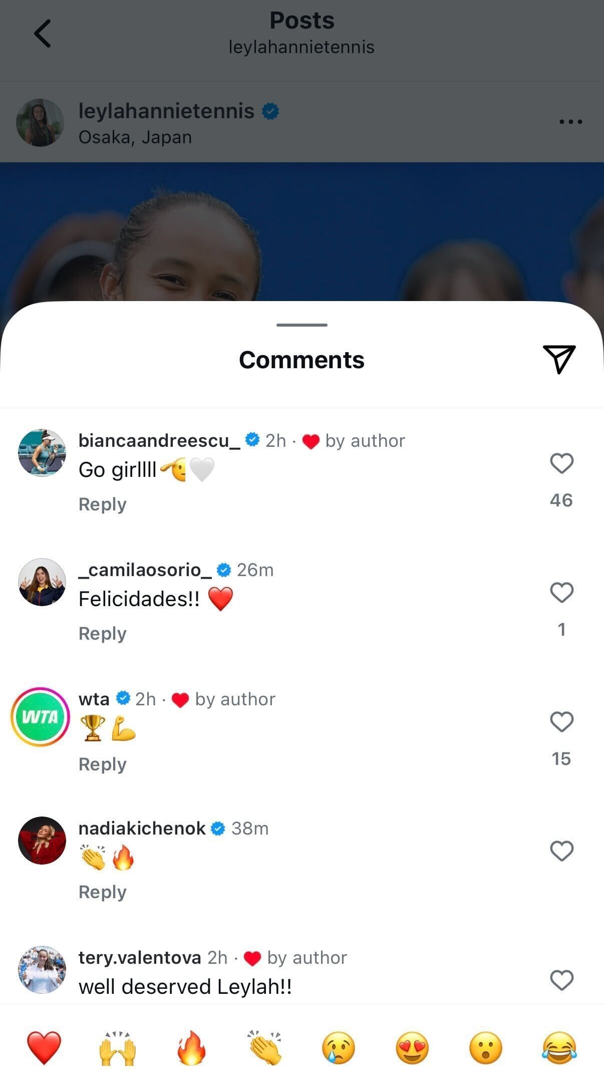 Comments section