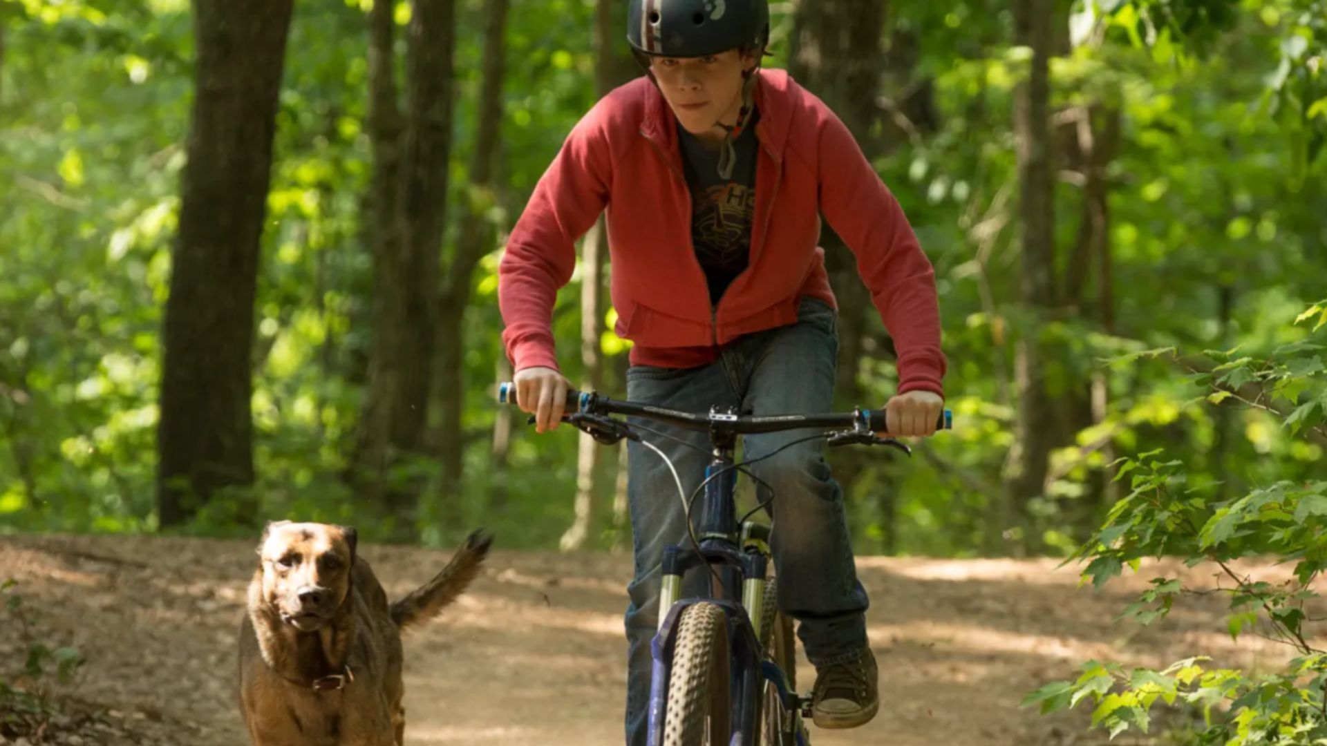 A still from the movie (Image via Apple TV)