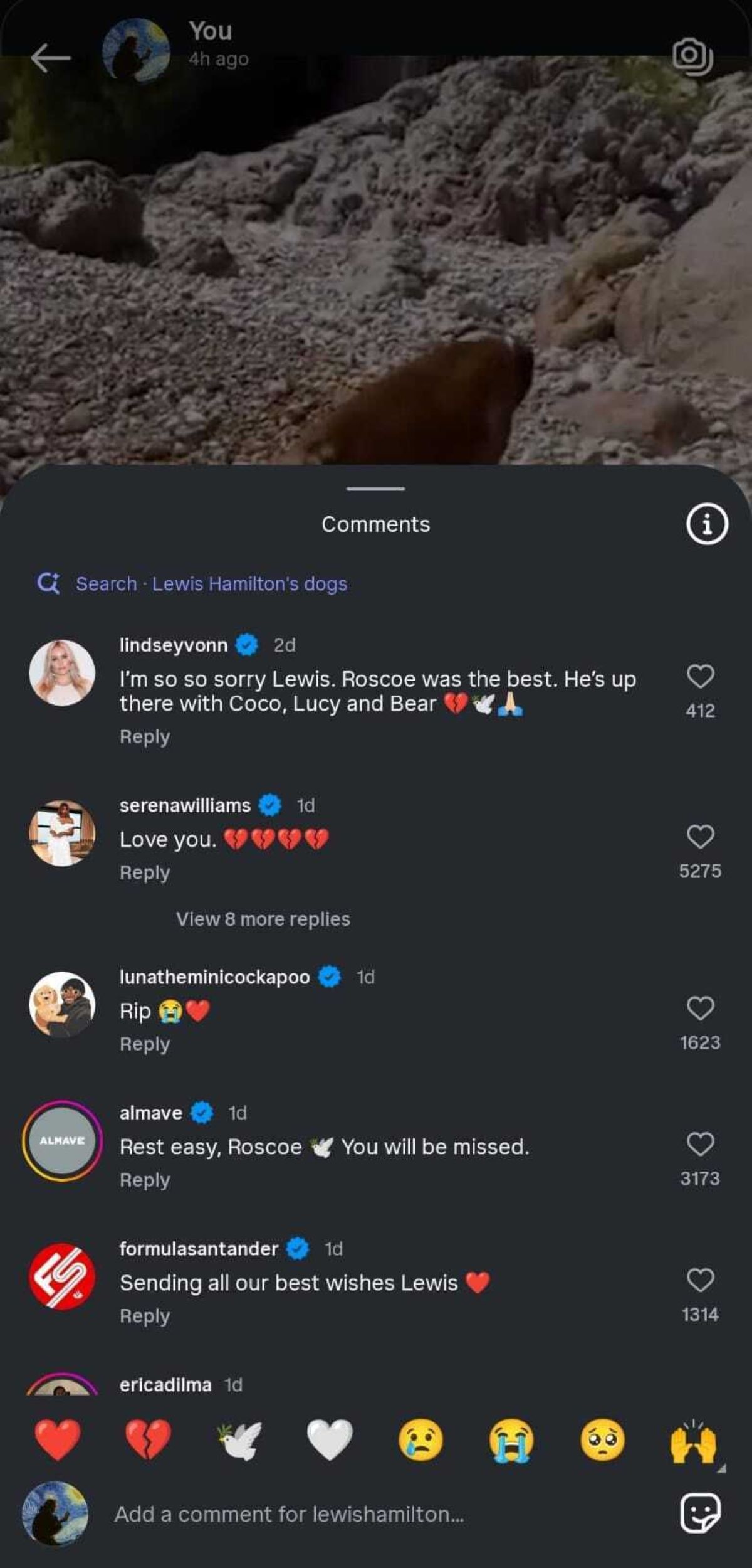 Screengrab of Lindsey Vonn&#039;s comments on Lewis Hamilton&#039;s post [Image Source : Lewis Hamilton&#039;s Instagram]