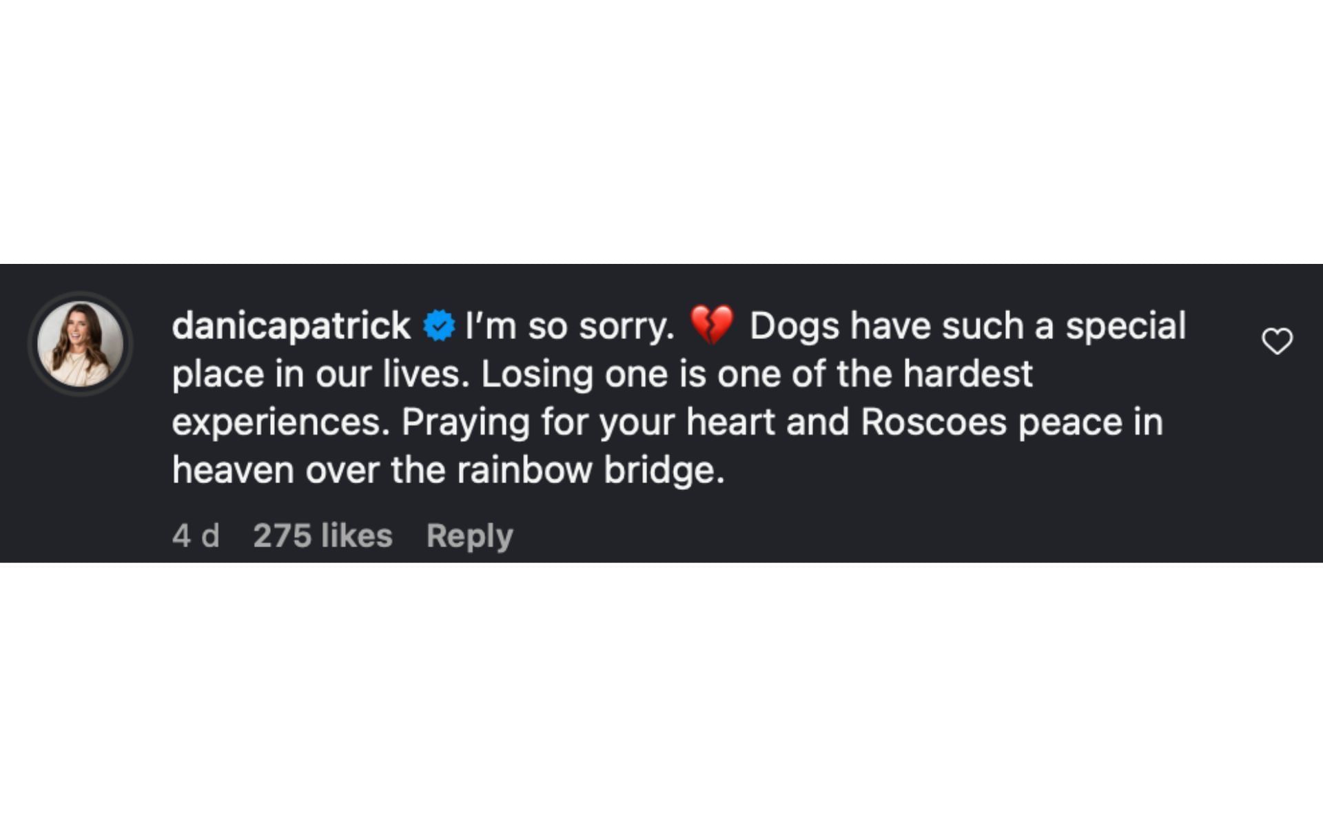 Danica Patrick&#039;s comment on Lewis Hamilton&#039;s Instagram post | Source: Instagram