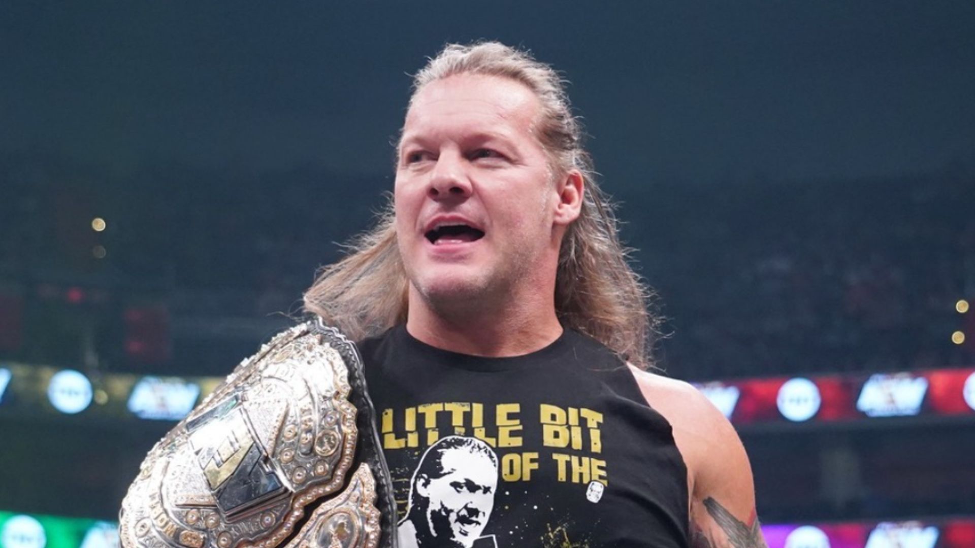Chris Jericho is a former AEW World Champion. (Image via AEW Facebook) 