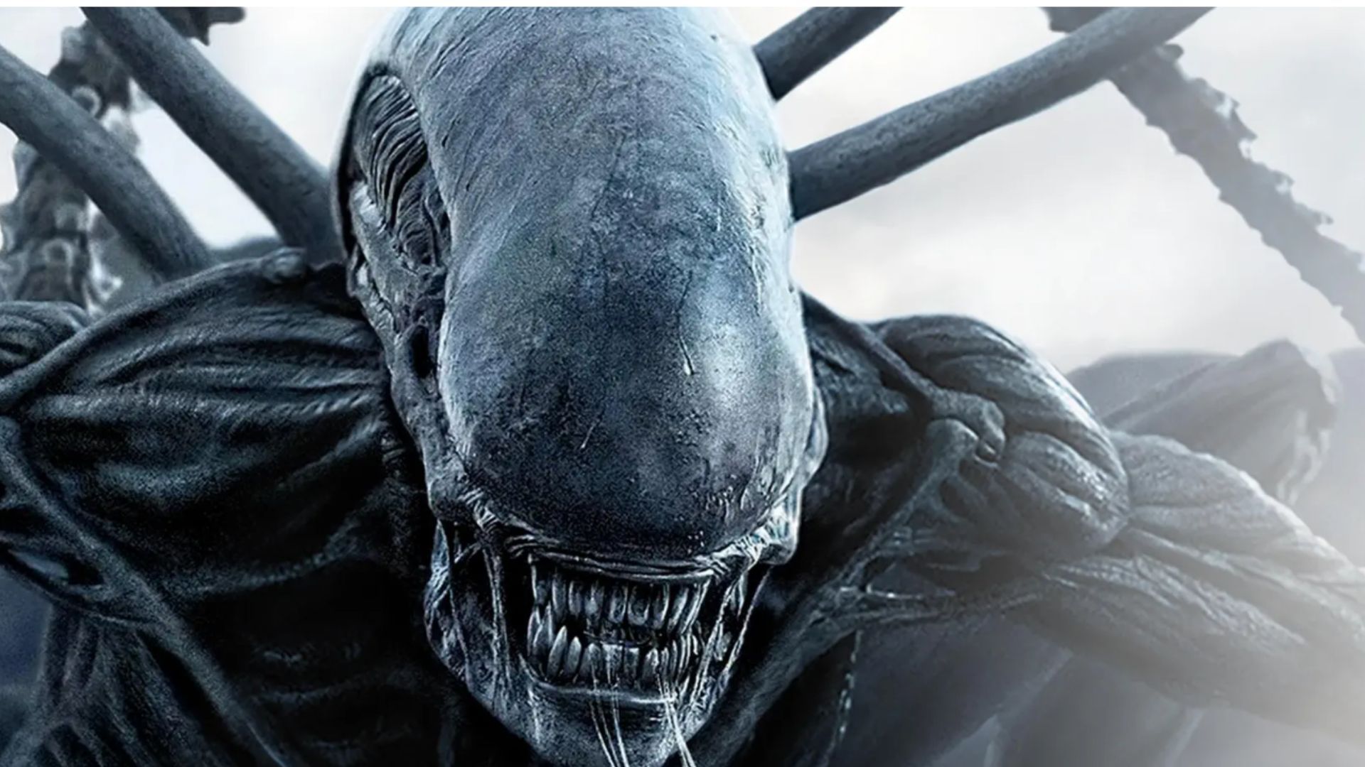 A still from the movie (Image via Apple TV)