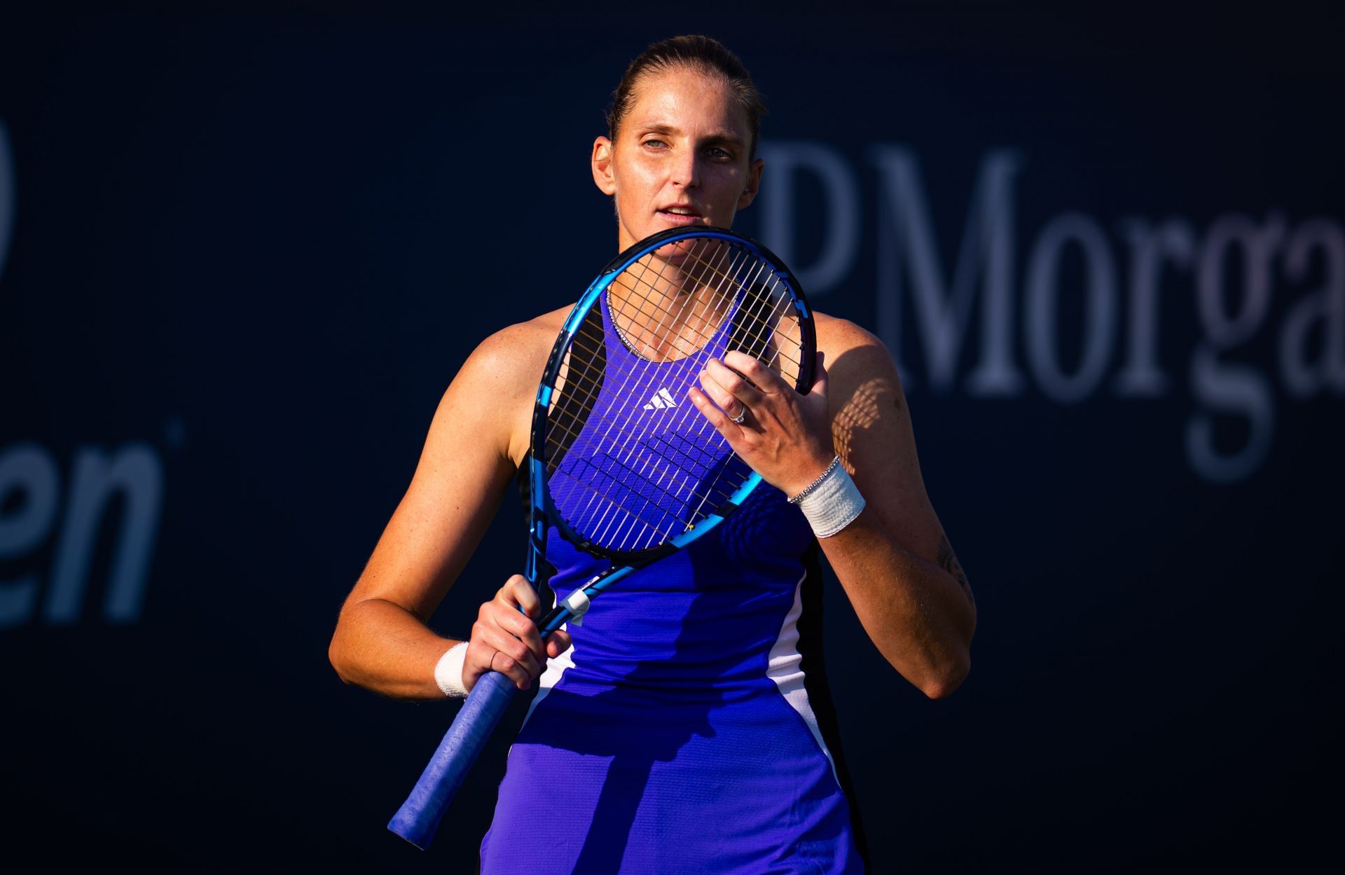 Pliskova in action (Getty)