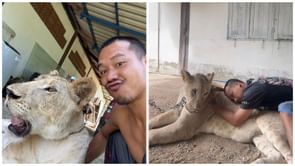 Thai TikToker Parinya Parkpoom faces arrest after his pet lion escaped its cage and attacked an 11-year-old boy