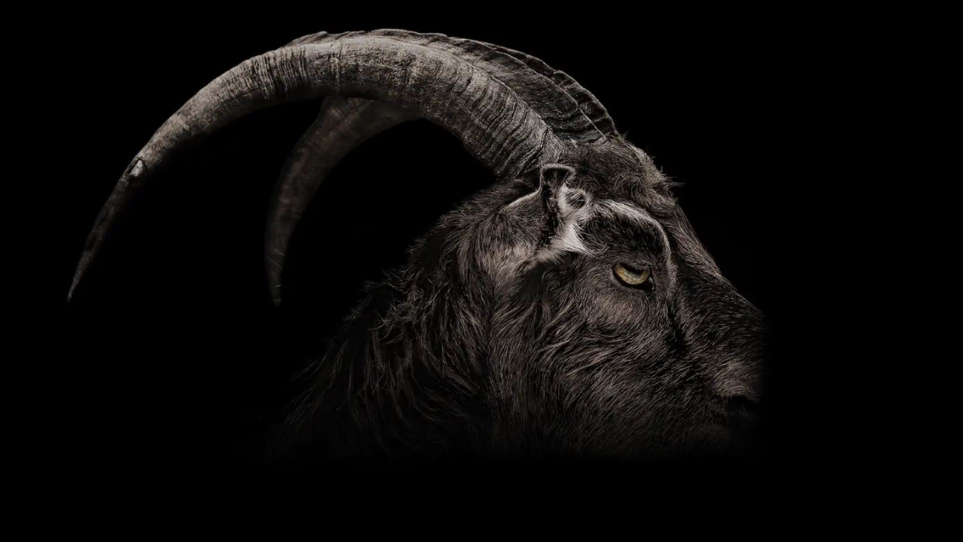 A still from the movie (Image via Apple TV)