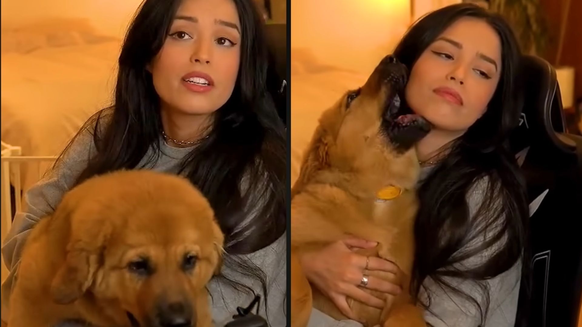Valkyrae speaks on CollarGate (Images via Valkyrae/YouTube)