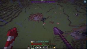 Minecraft fan showcases fun way to beat the Wither using spear