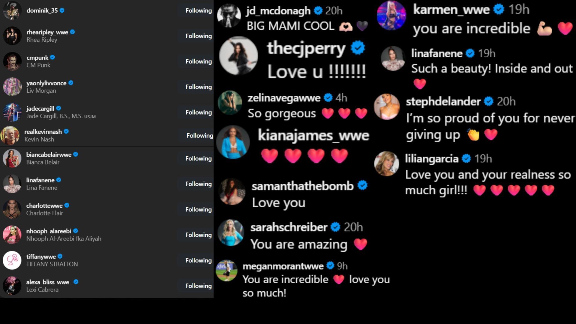 Screenshots of stars&#039; likes and comments [Image credit: Raquel Rodriguez&#039;s Instagram]