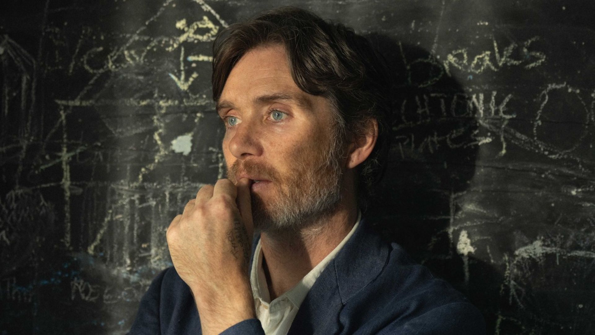 7 Cillian Murphy films to watch if you liked Steve (Image via Netflix)