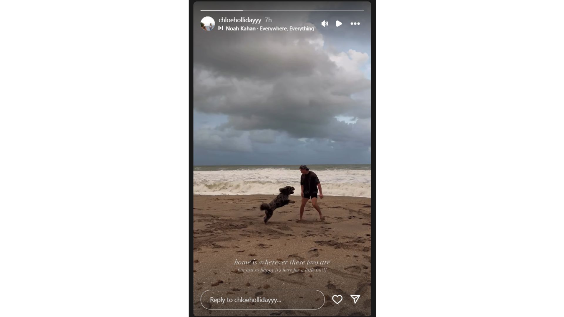 Chloe Holliday&#039;s Instagram Story featuring Jackson and Coconut at the beach (Source: Instagram @chloeholliday)