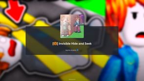 Invisible Hide and Seek: A beginner's guide
