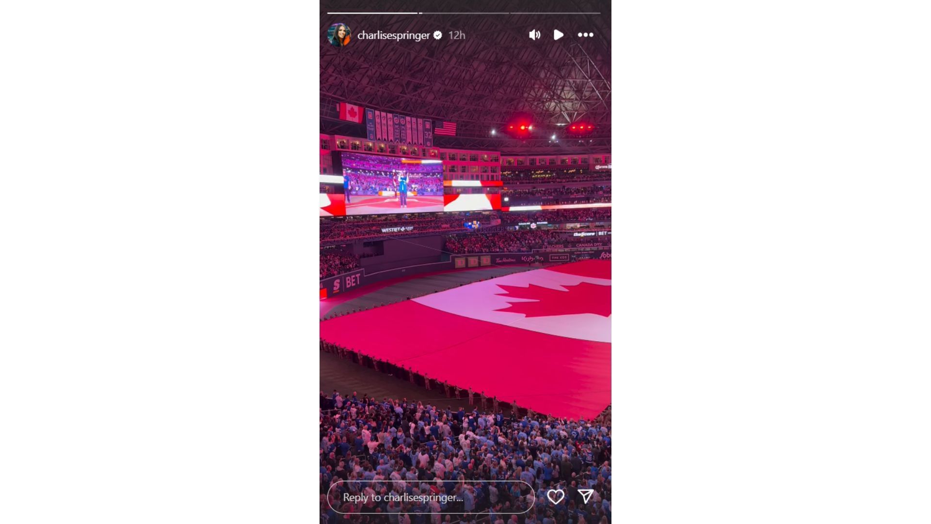 Charlise Springer&#039;s Instagram Story featuring Alessia Cara (Source: Instagram @charlisespringer)