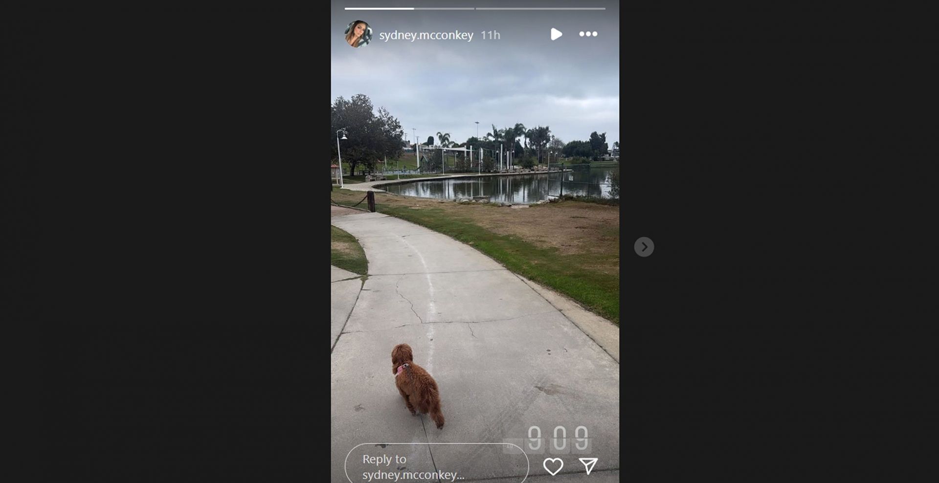Ladd McConkey&#039;s wife Sydney morning walk with pet dog PICS]/@sydney.mcconkey