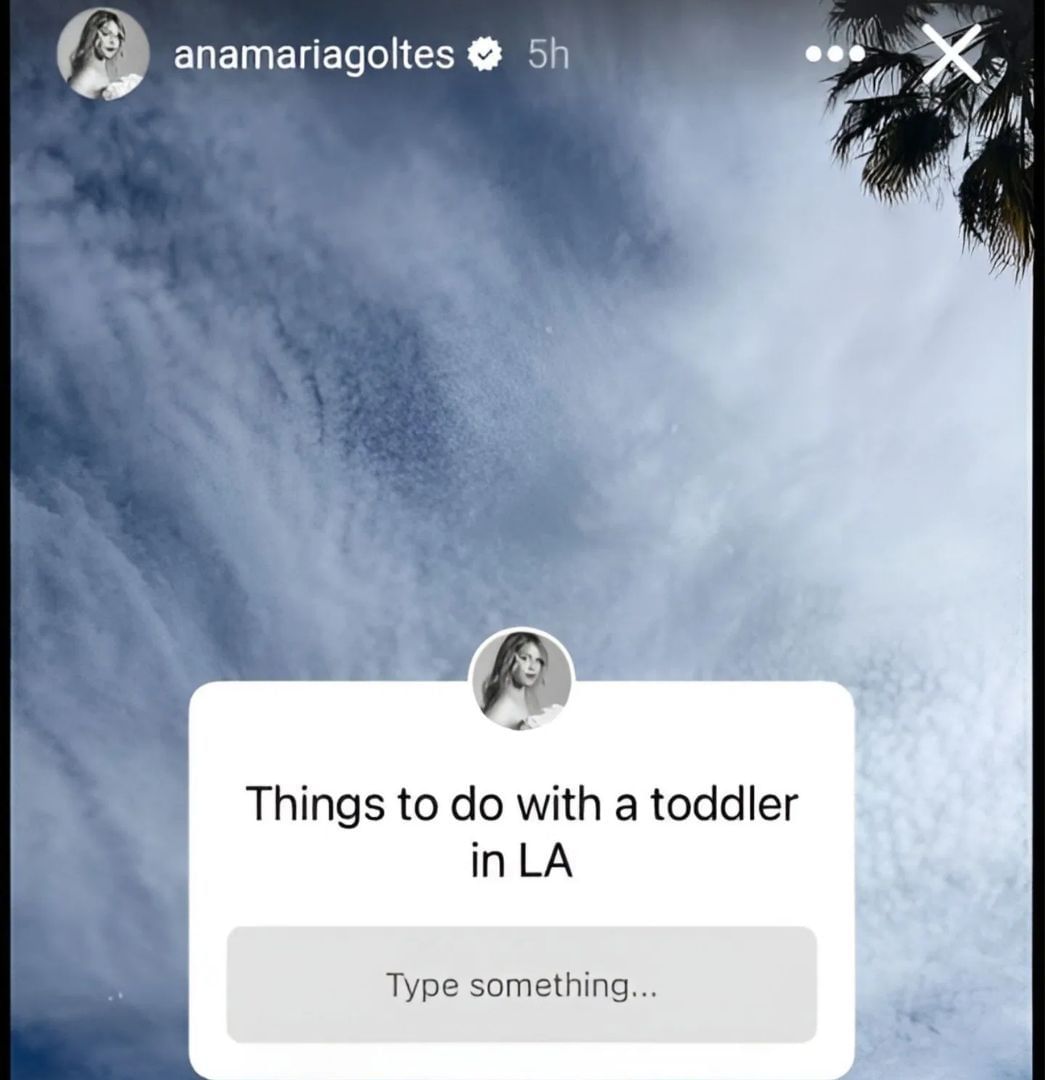Anamaria Goltes' Instagram story