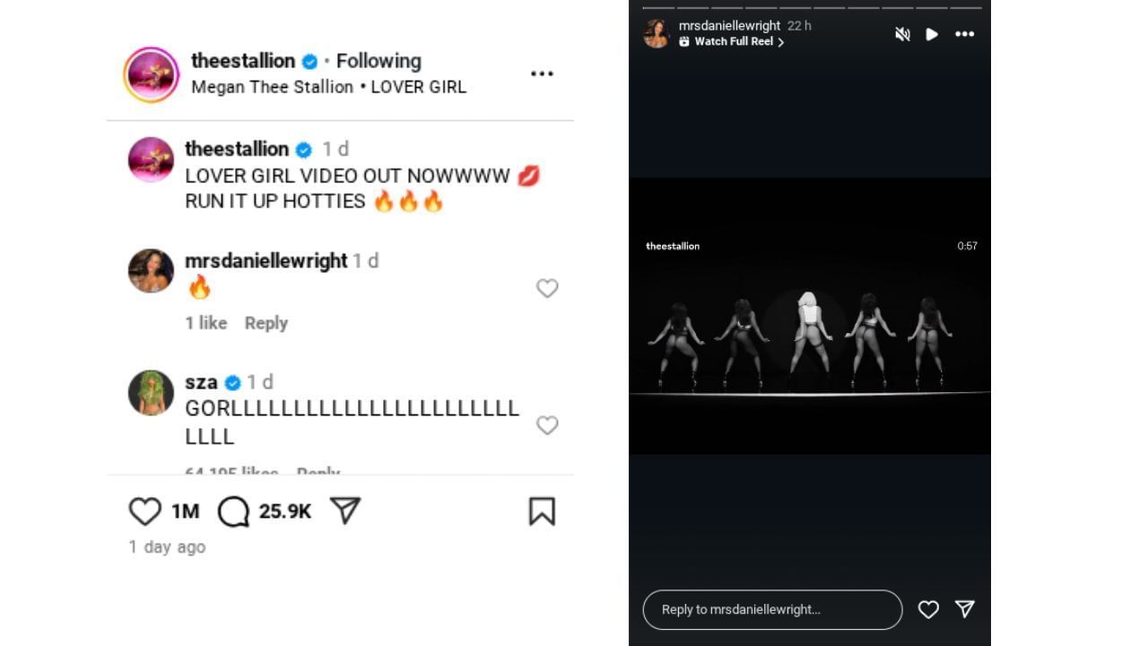Source: (Via Instagram/ @theestallion)