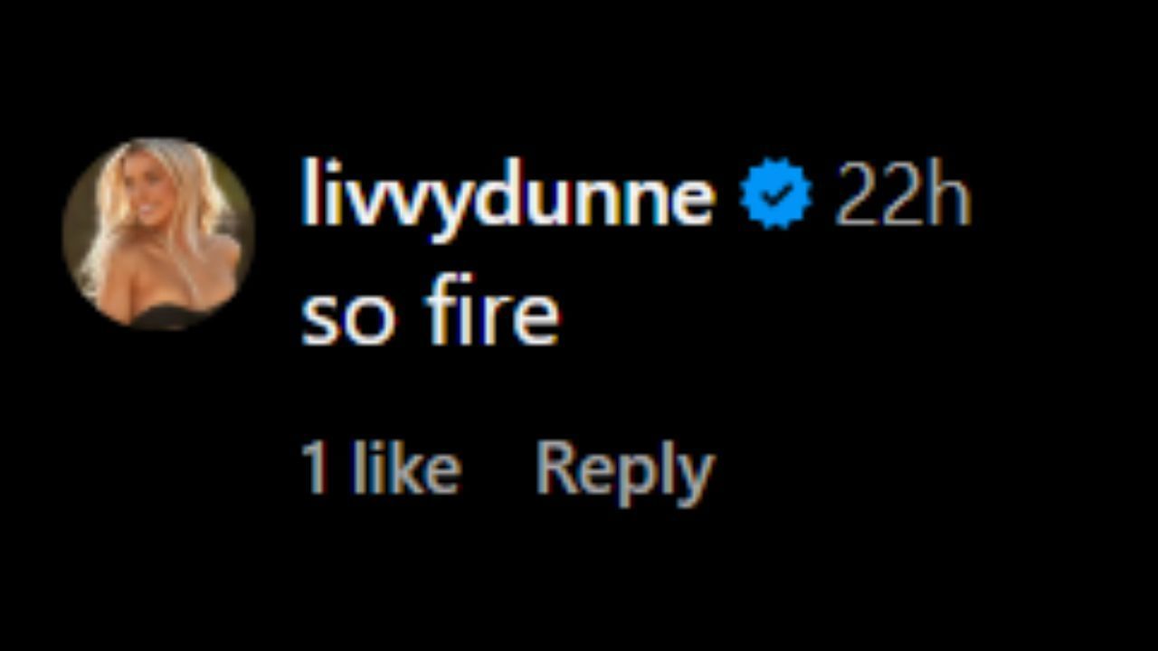 Screenshot of Olivia Dunne&#039;s comment on Riley Fox&#039;s Instagram post (Image from - Instagram.com/@rylienfox)
