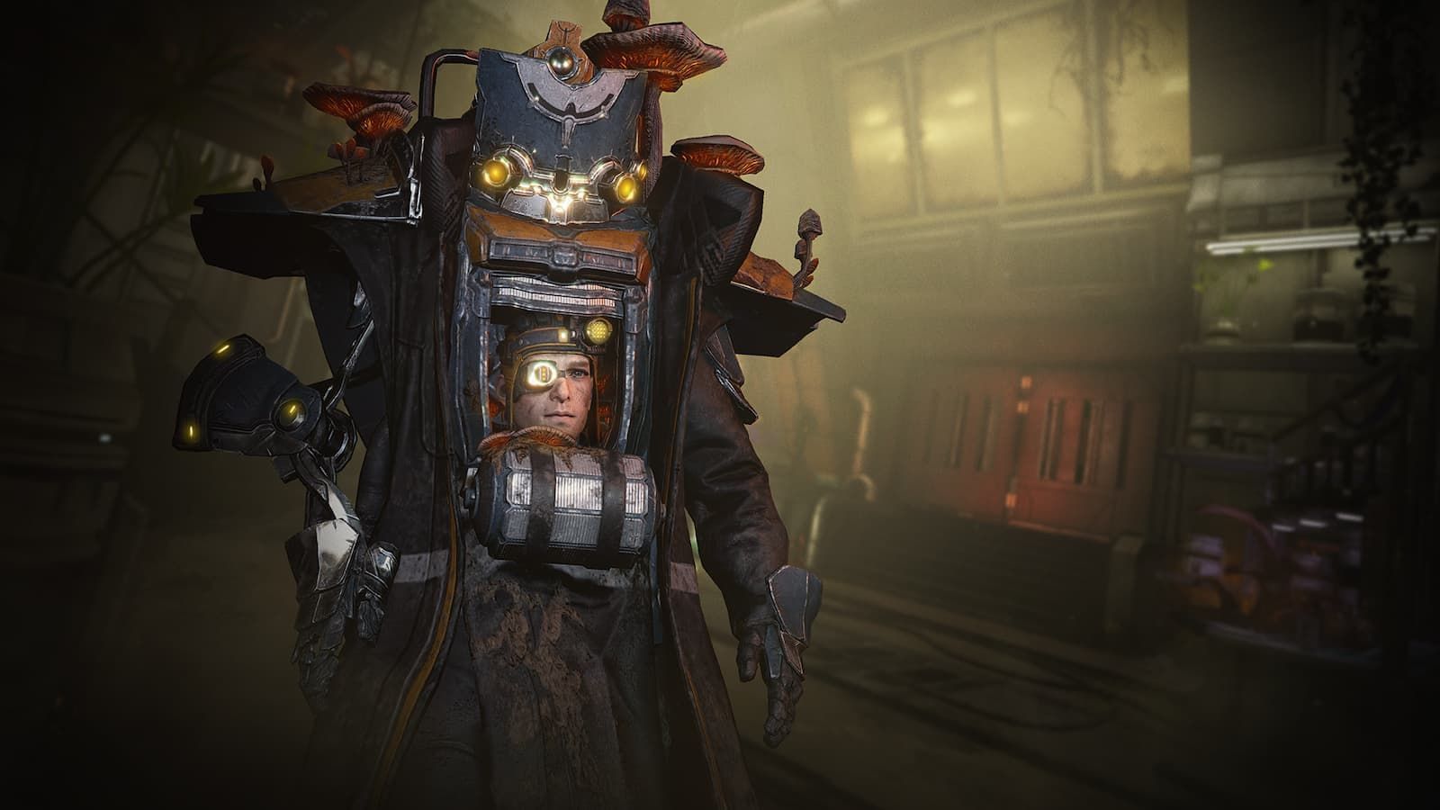 warframe nightcap