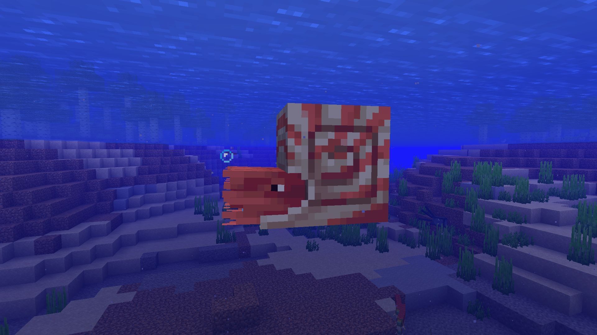 All new mounts have been confirmed for Minecraft Mounts of Mayhem drop 2 The nautlus in Minecraft Mounts of Mayhem will allow players to easily explore underwater arenas (Image via Sportskeeda Gaming || Mojang Studios)