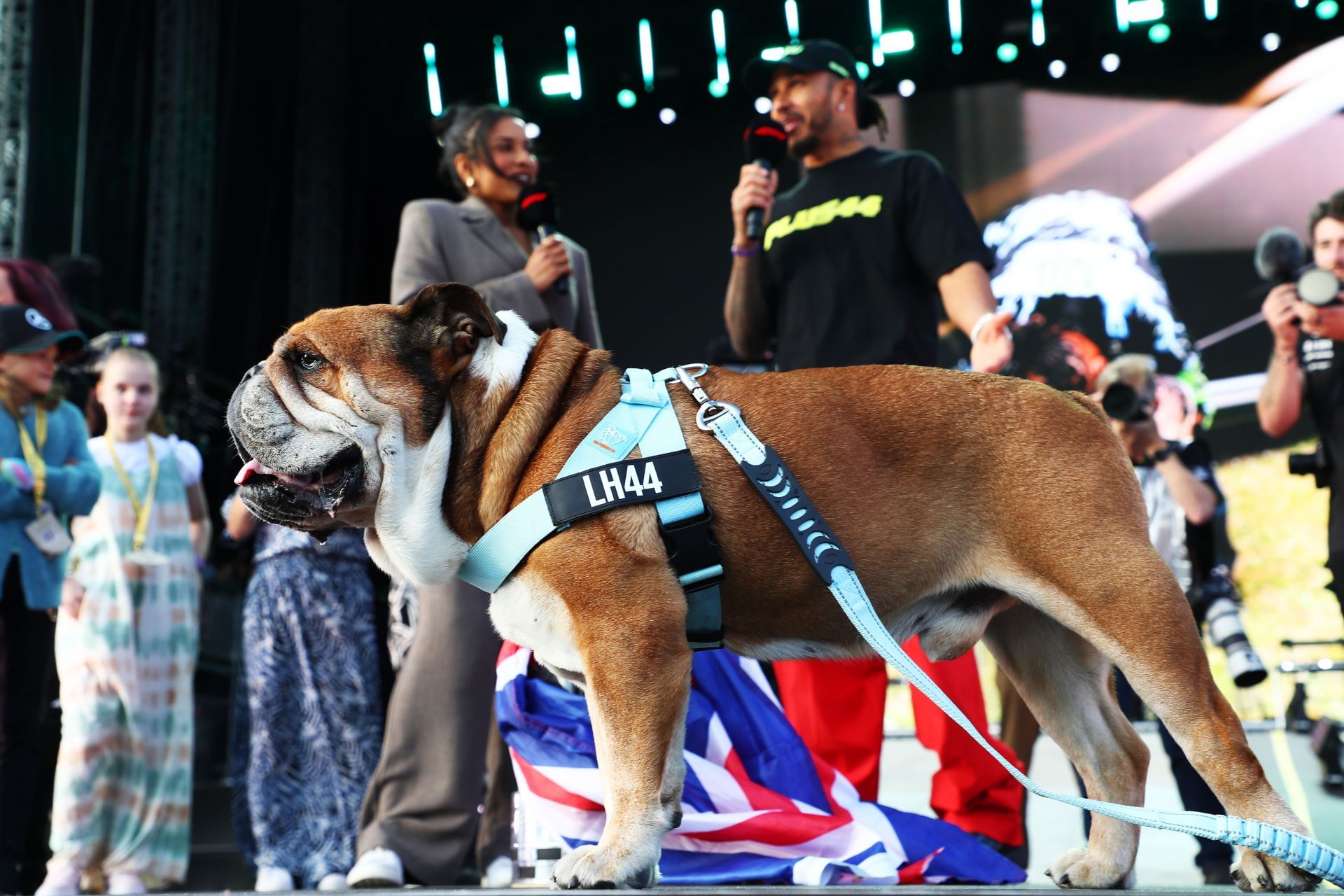 Lewis Hamilton with Roscoe at the F1 Grand Prix of Great Britain - Source: Getty