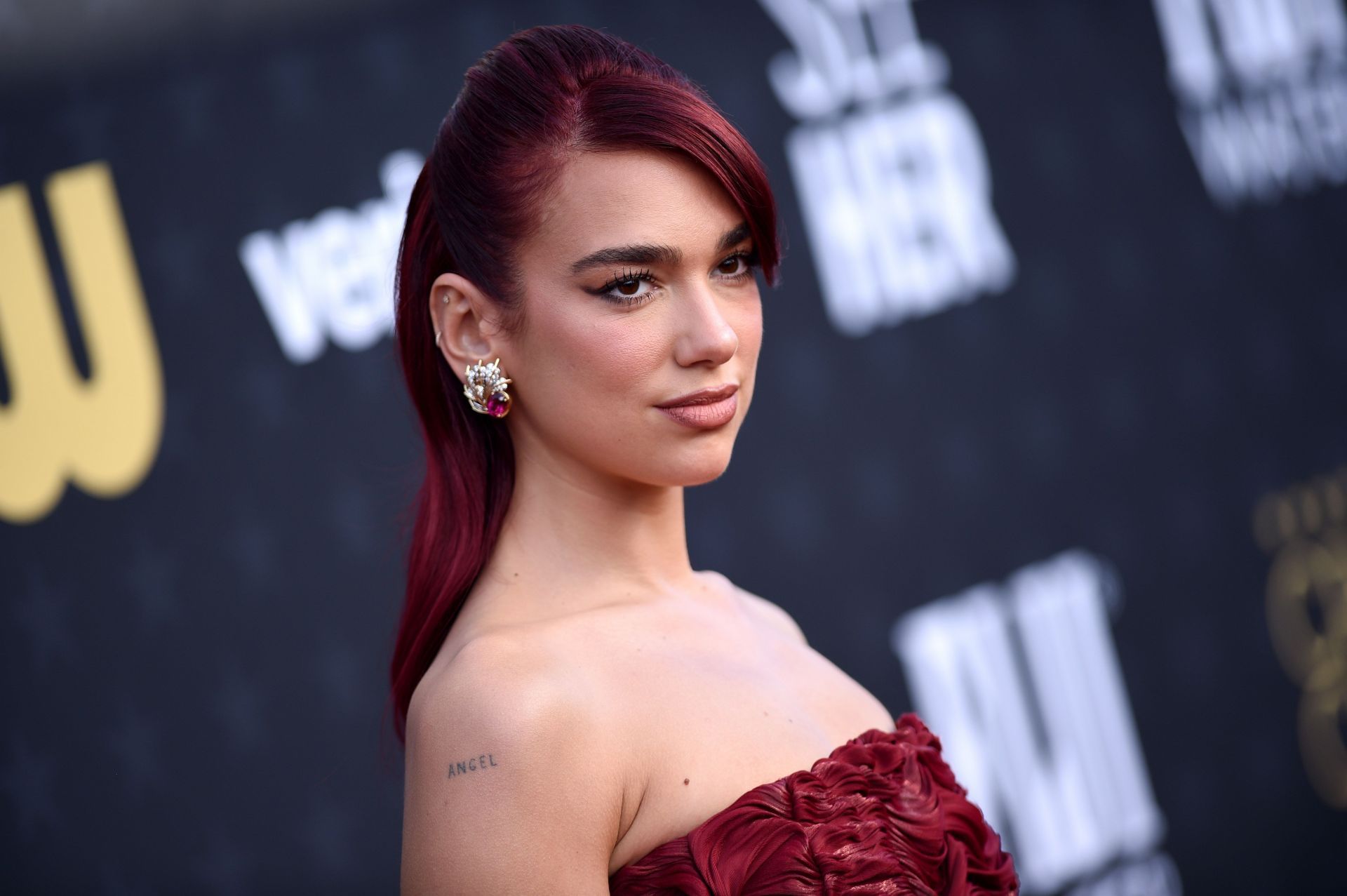 29th Annual Critics Choice Awards - Arrivals (Image Source: Getty)