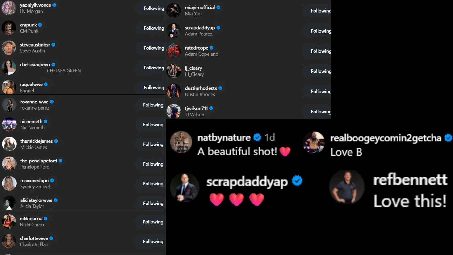 Screenshots of stars&#039; likes and comments [Image credit: Bayley&#039;s Instagram]