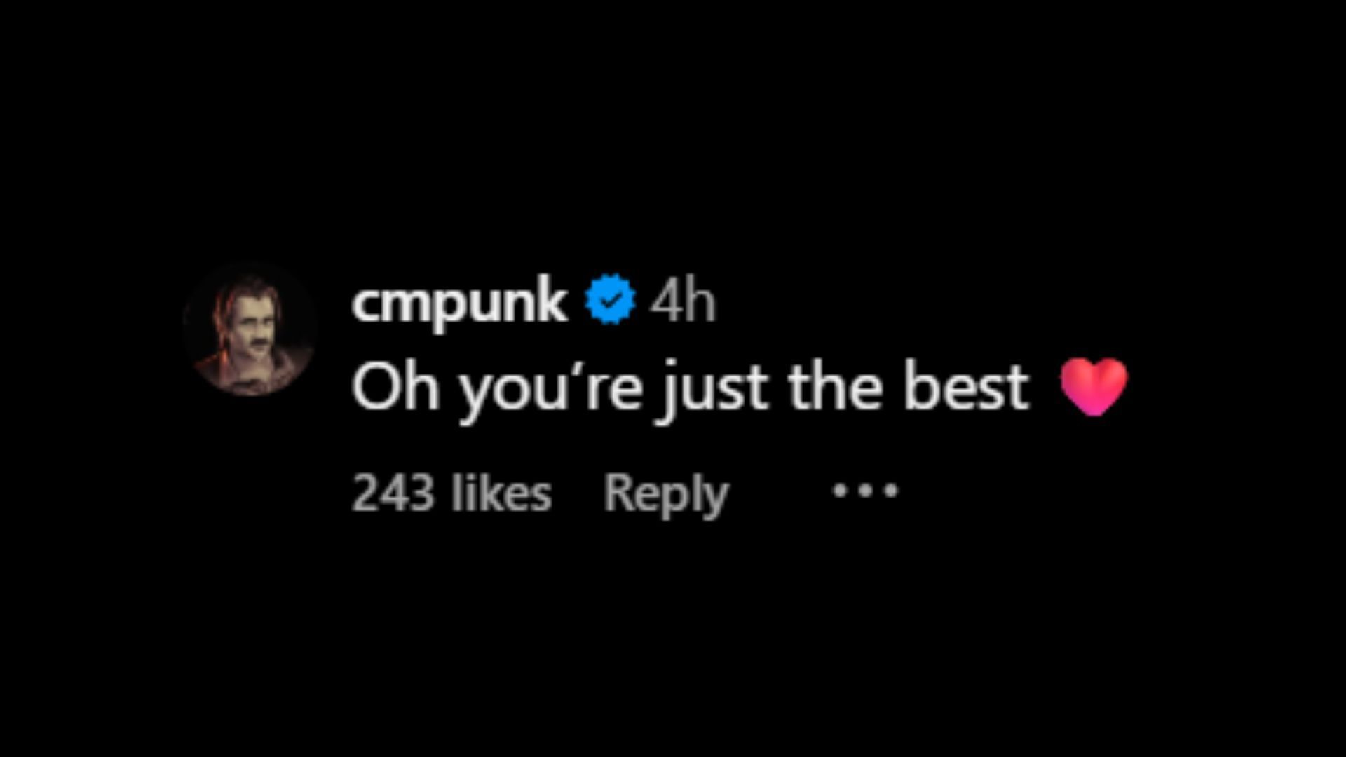 Screenshot of CM Punk&#039;s comment [Image credit: Danielle Fishel&#039;s Instagram]