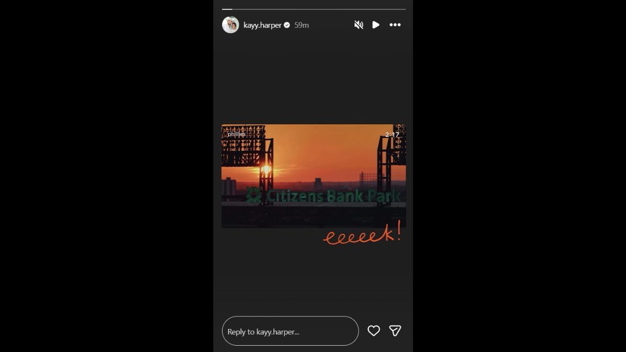 Screenshot of Kayla Harper&#039;s Instagram Story (Image from - Instagram.com/@kayy.harper IG Stories)