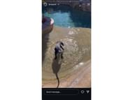 Jaz Agassi's Instagarm story