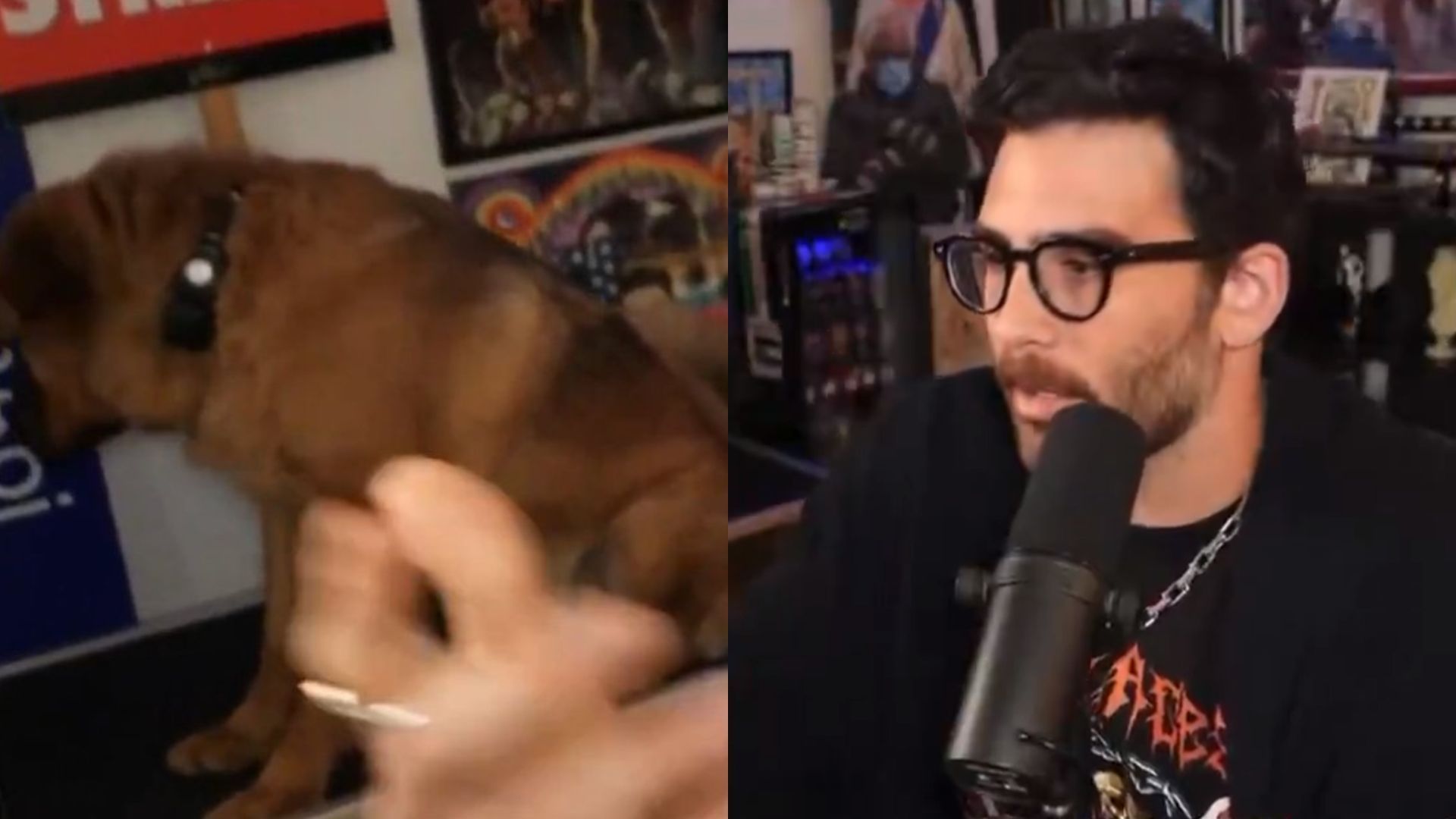 Fans are upset with Hasan for allegedly shocking his dog (Images via @ChibiReviews, @Awk20000/X)