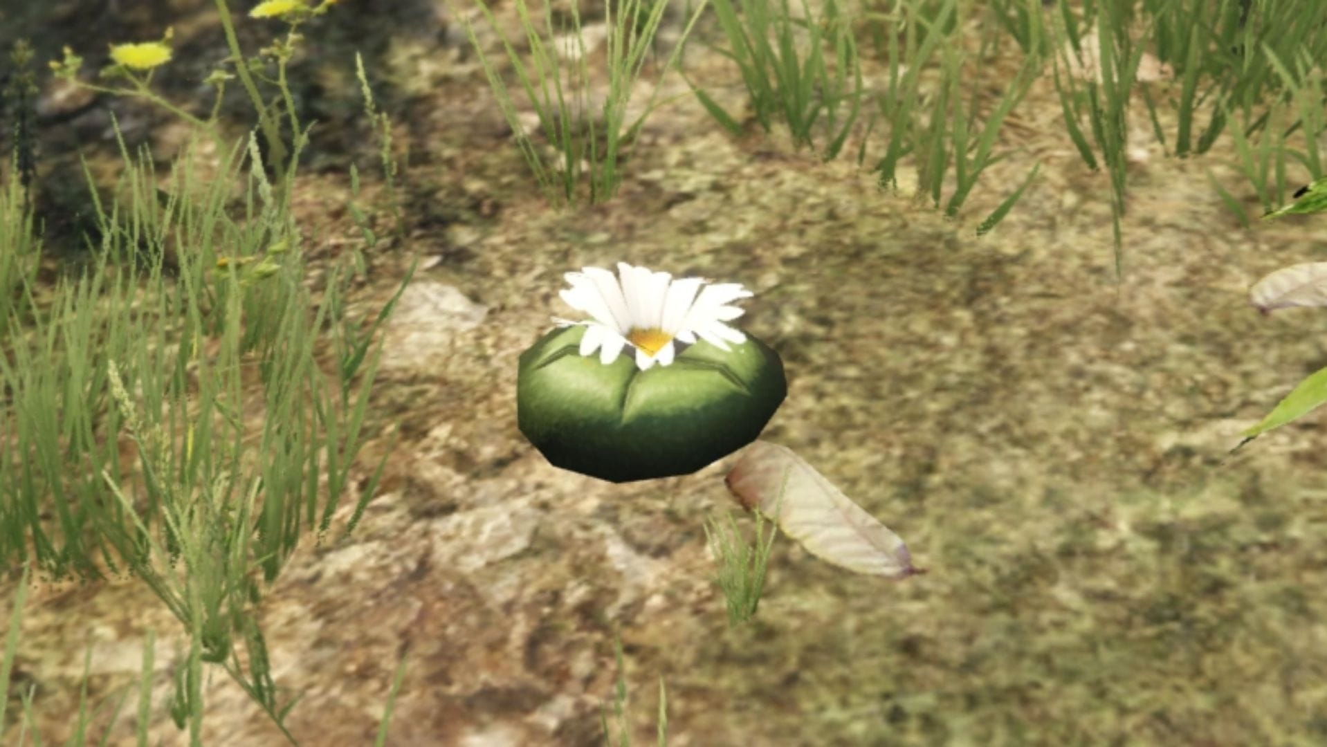 Peyote Plants locations in GTA Online (2026)