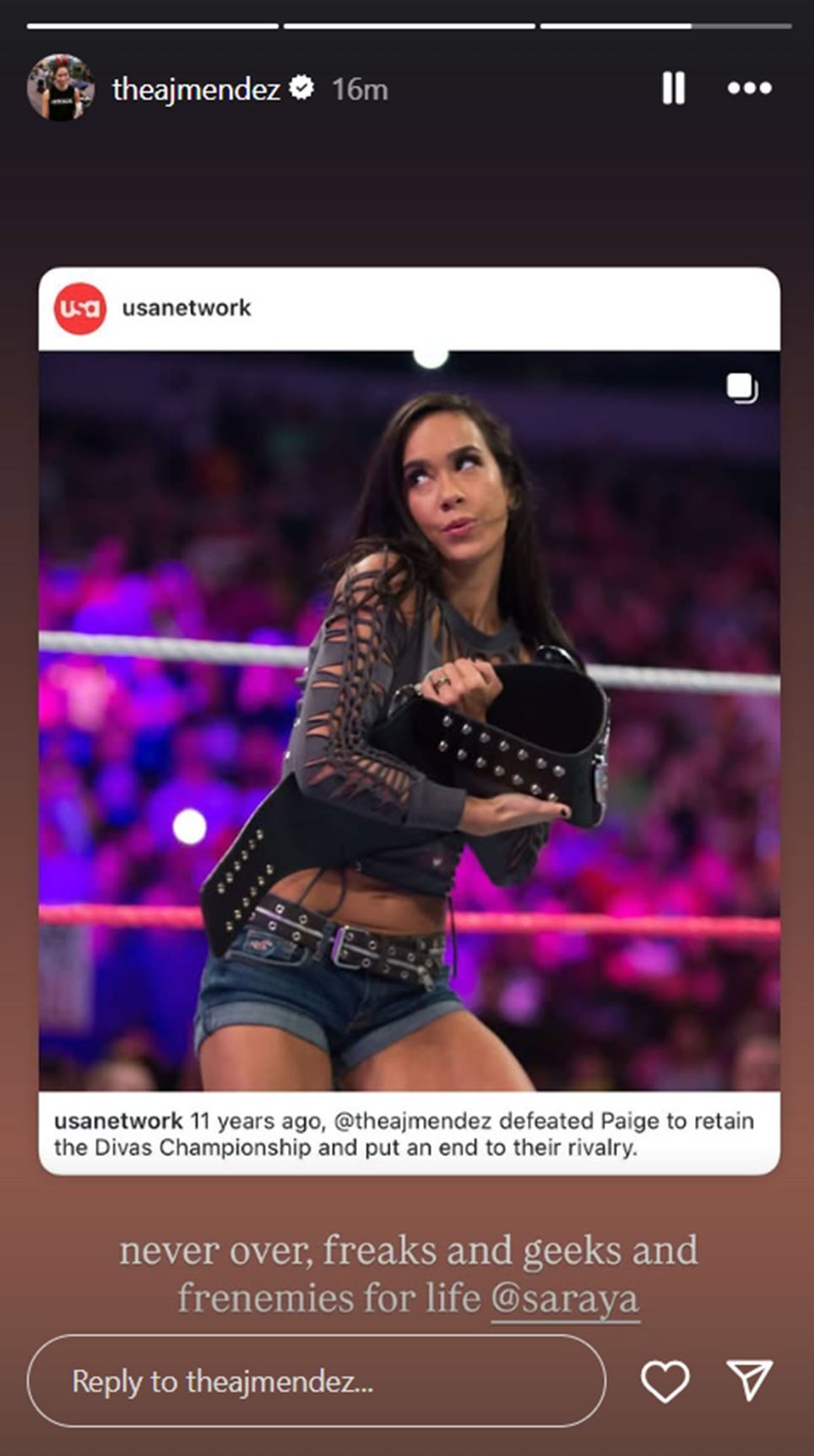 AJ Lee has sent a message 