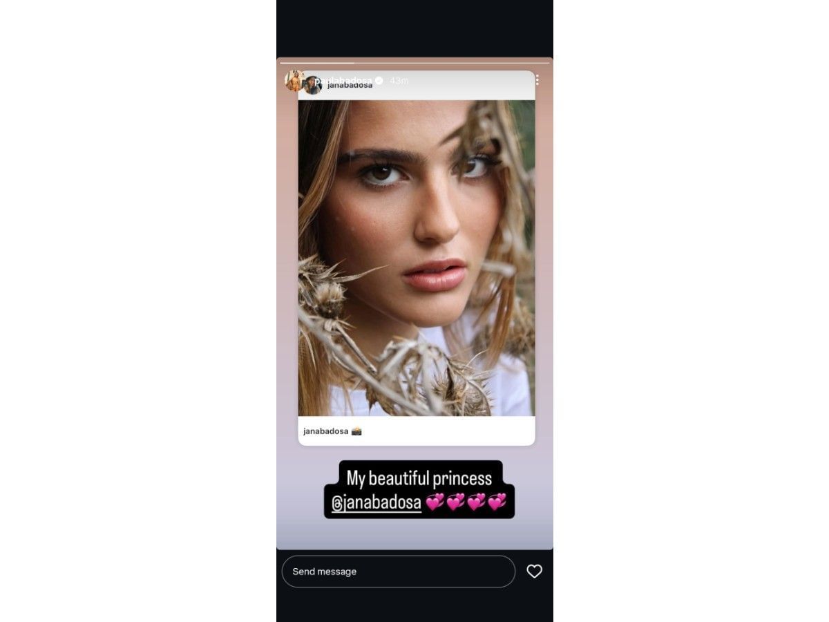 Badosa's Instagram story