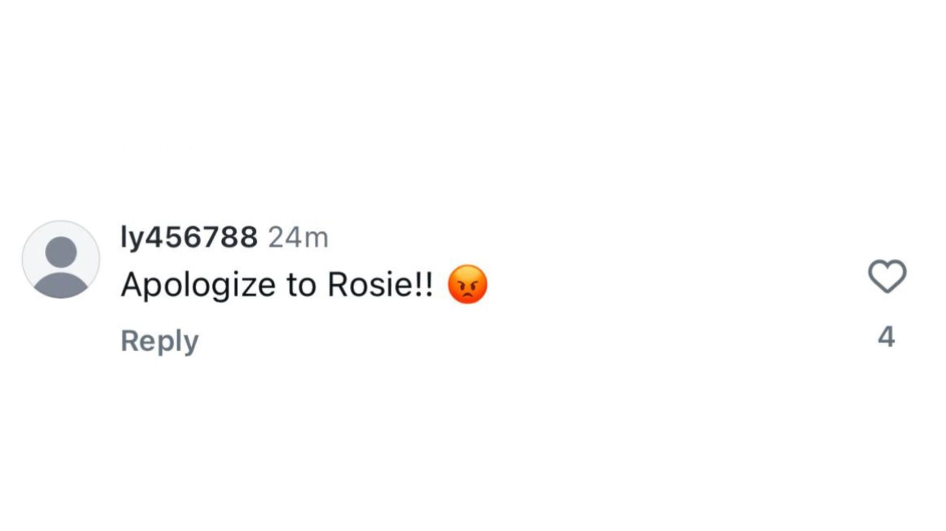 A fan commented on ELLE UK&#039;s Instagram post (Image via Instagram/@ly456788)