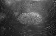 A fingerprint from an Alabama case reportedly linked investigators to a suspect (Image via Unsplash)
